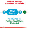 Royal canin Mini Junior 2kg
