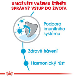 Royal canin Mini Junior 2kg