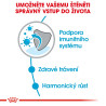 Royal canin Mini Junior 2kg