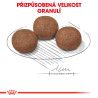 Royal canin Medium Junior 4kg