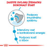 Royal canin Giant Junior 15kg