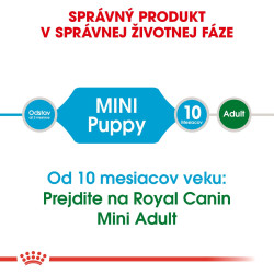 Royal canin Mini Junior 2kg