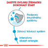 Royal canin Mini Junior 2kg