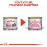 Royal canin Feline Babycat konz. 195g