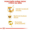 Royal canin Breed Boxer 12kg