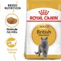 Royal Canin British Shorthair Adult granule pro britské krátkosrsté kočky 10kg