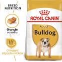 Royal Canin Bulldog Adult granule pro dospělého buldoka 3kg
