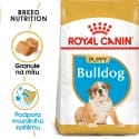 Royal Canin Bulldog Puppy granule pro štěně buldoka 12kg