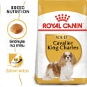 Royal Canin Cavalier King Charles Adult granule pro dospělého kavalír king charles španěl 1,5kg