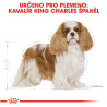 Royal canin Breed Kavalír King Charles 500g