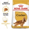 Royal Canin Cocker Adult granule pro dospělého kokršpaněla 3kg