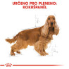 Royal canin Breed Kokr 3kg