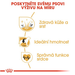 Royal canin Breed Kokr 3kg