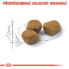 Royal canin Feline Fit 400g