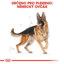 Royal canin Breed Německý Ovčák 12kg