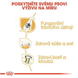Royal canin Breed Německý Ovčák 12kg