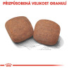 Royal canin Giant Adult  15kg