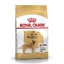 Royal Canin Golden Retriever Adult granule pro dospělého zlatého retrívra 3kg