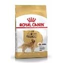 Royal Canin Golden Retriever Adult granule pro dospělého zlatého retrívra 12kg