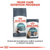 Royal canin Feline Hairball Care kapsa 85g