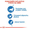 Royal canin Feline Indoor 7+ 1,5kg