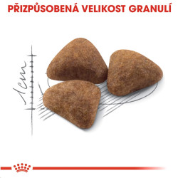 Royal canin Feline Indoor 2kg