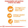 Royal canin Feline Intense Beauty kaps 85g