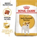 Royal Canin Jack Russell Adult granule pro dospělého jack russell teriéra 3kg