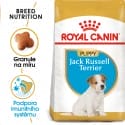 Royal Canin Jack Russell Puppy granule pro štěně jack russell teriéra 1,5kg