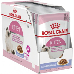 Royal canin Feline Kitten Inst kaps v želé 85g