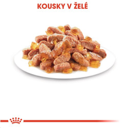 Royal canin Feline Kitten Inst kaps v želé 85g