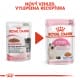 Royal canin Feline Kitten Inst kaps v želé 85g