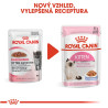Royal canin Feline Kitten Inst kaps v želé 85g