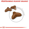 Royal canin Feline Light 2kg