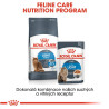 Royal canin Feline Light 10kg