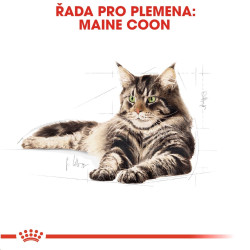 Royal canin Breed Feline Maine Coon 10kg