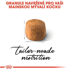 Royal canin Breed Feline Maine Coon 10kg