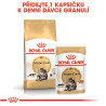 Royal canin Breed Feline Maine Coon 10kg