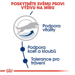 Royal canin Maxi Adult 5+ 15kg