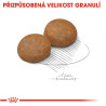 Royal canin Maxi Adult 5+ 15kg