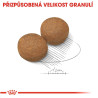 Royal canin Maxi Adult 15kg