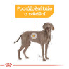 Royal canin Maxi Derma Comfort  12kg