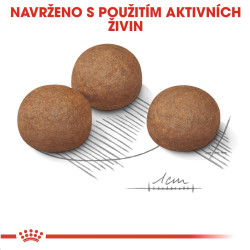 Royal canin Maxi Digestive Care 15kg