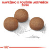 Royal canin Maxi Digestive Care 15kg