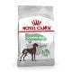 Royal canin Maxi Digestive Care 3kg