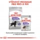 Royal canin Maxi Sterilised  3,5kg