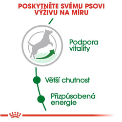 Royal canin Mini Mature 800g