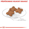 Royal canin Mini Adult 800g