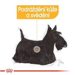 Royal canin Mini Derma Comfort 2kg
