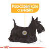 Royal canin Mini Derma Comfort 2kg
